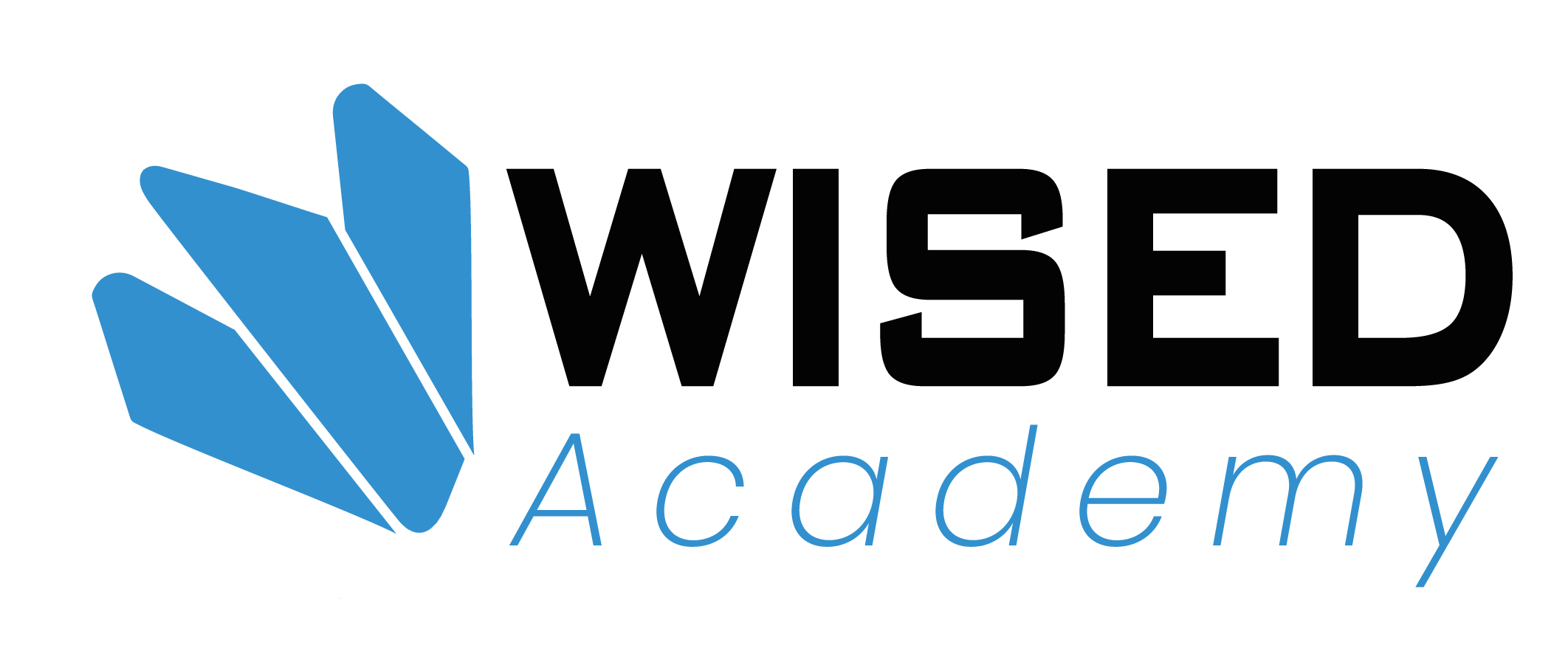 Wisedacademy Project
